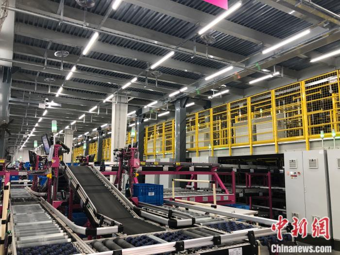 全自动化的“蜂巢”设备。 中新网 左宇坤 摄