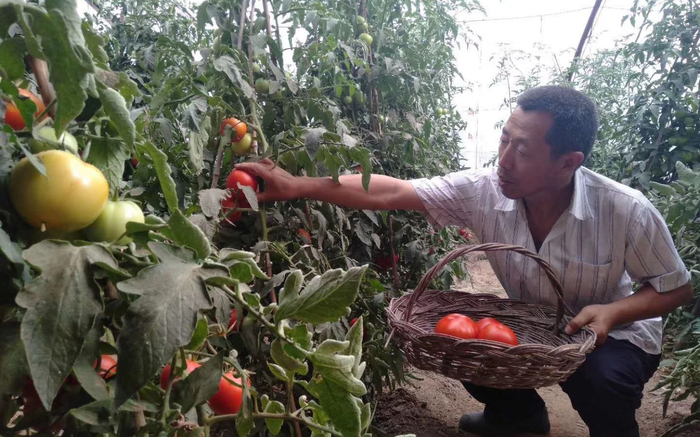 当了近20年农民的吴艾祥。受访者供图