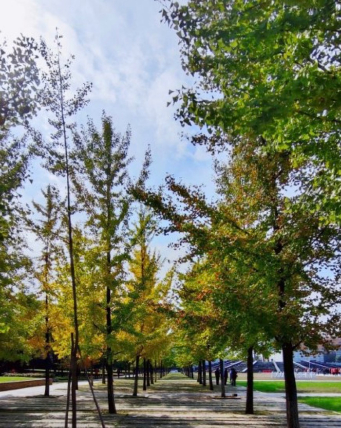 图片来源：@聚焦西安城