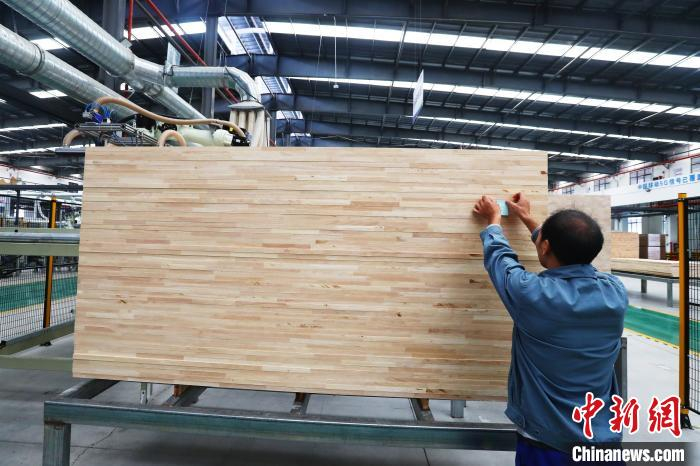 图为工人把进行自动拼接完成的家具木材贴好标签。　刘占昆 摄