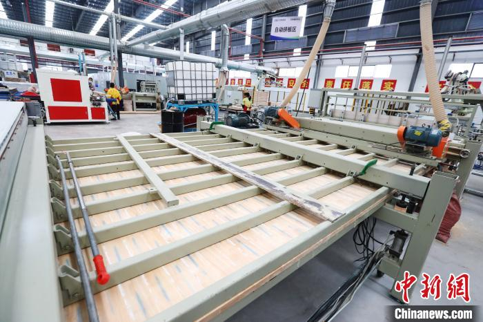 图为进行自动拼接完成的木材。　刘占昆 摄