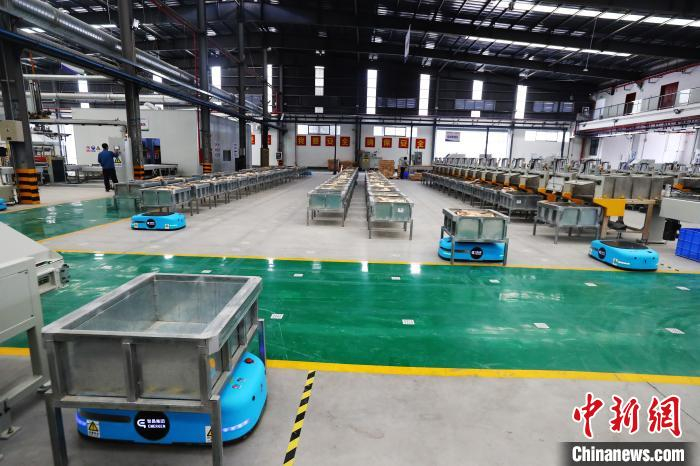 通过智能分选、智能制造、智能排版等工艺，实现对木材的品质、颜色进行分选。图为自主分拣智能机器人在工作中。　刘占昆 摄