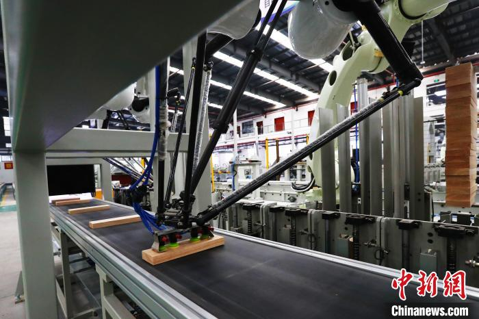 图为现场自主码垛智能机器人在作业中，通过AI人工智能实现视觉自动化。　刘占昆 摄