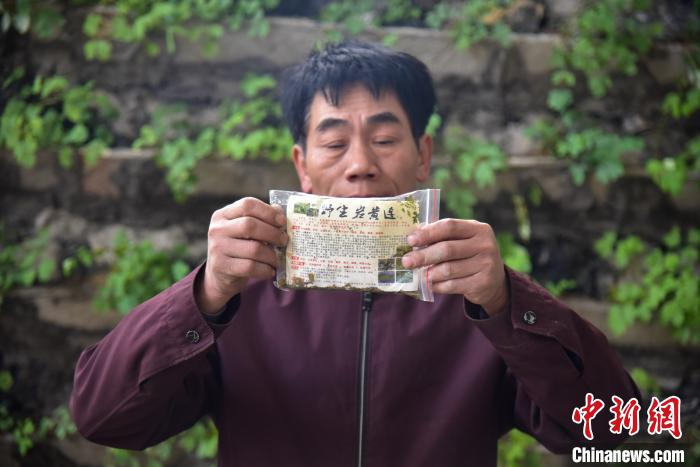 覃维定展示他种植的岩黄连成品。　王以照 摄