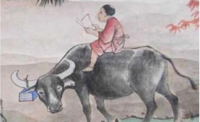 杨素是历事两朝的勋臣宿将,战功卓著,为何会看重落魄时的李密