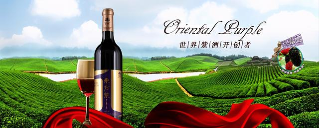 江苏句容东方紫酒开创"紫酒"新品类__财经头条
