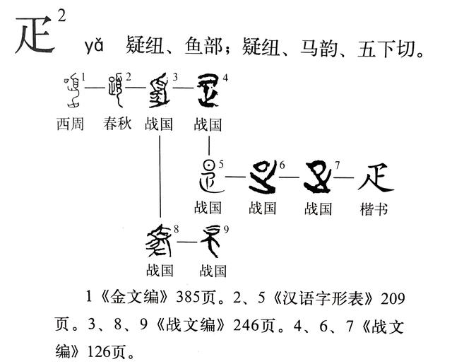 《说文解字》第358课：你真的认识“疋”字吗？