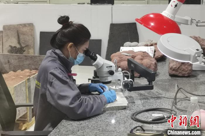 博物馆内设有实验室，研究人员负责清修复原等工作。　孙虹 摄