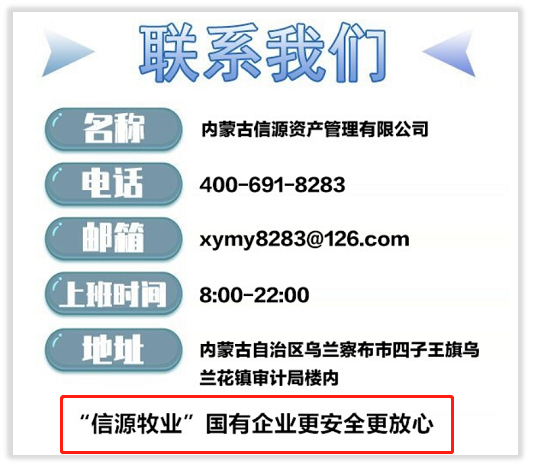 ▲“云养牛”APP的“联系我们”板块。