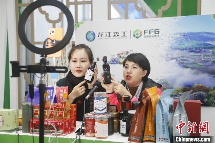 龙江森工集团在展会现场设立的直播间 吕品 摄