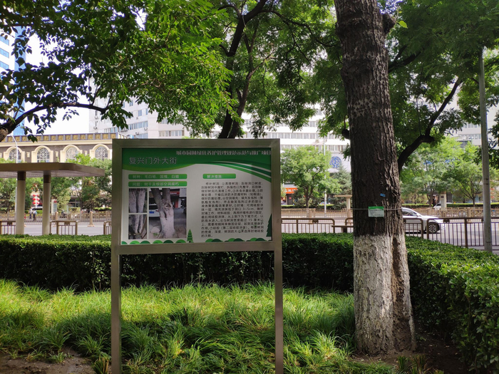 详细介绍树木治疗方案的展示牌。受访者供图