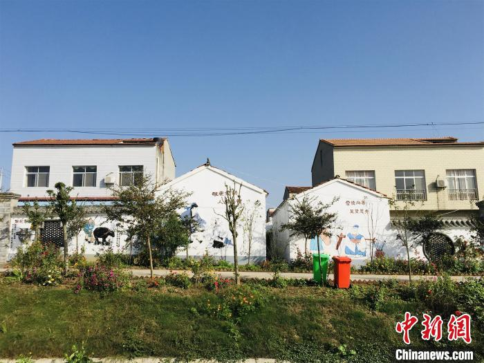 襄州区美丽乡村干净整洁 马芙蓉 摄