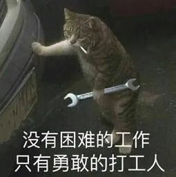 ▲图片来自网络。