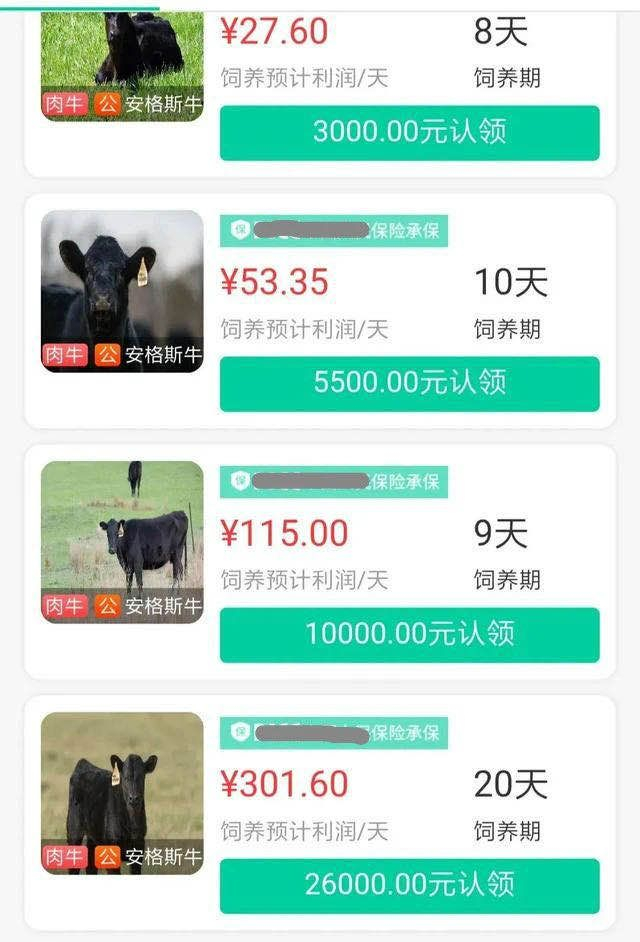 ▲某“云养牛”APP的认领界面。