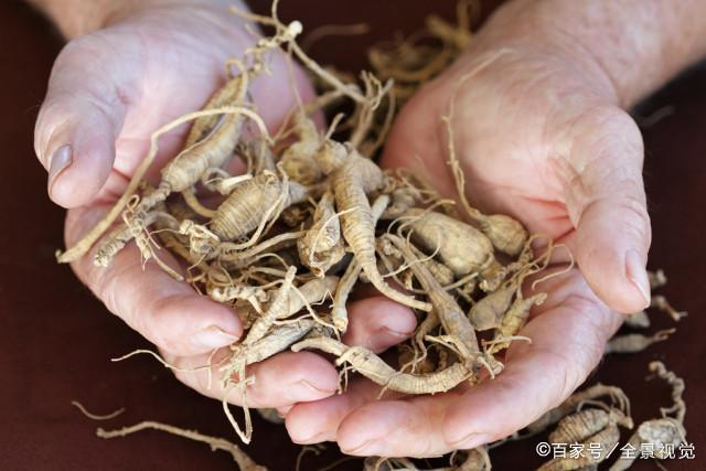 根据文献中记载(nang)乪人参隶属于五加草本植物,属性温,生长于我国