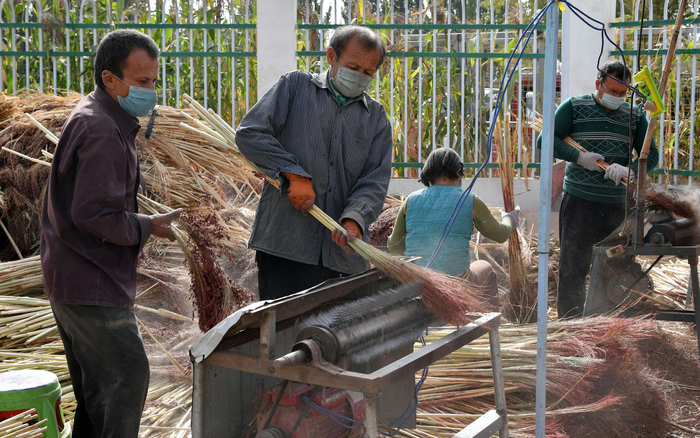 　　10月14日，阿克萨拉依乡佳美扫把制作中心，维吾尔族工人在给收购来的高粱脱粒。新京报记者 吴江 摄