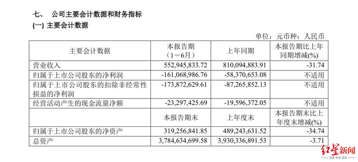 　截图自贵人鸟半年报