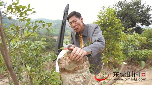 ■黄欧积极推动莞香产品融入现代生活 市文化馆供图