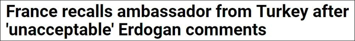 法国方面表示埃尔多安的言论“不可接受”，召回驻土大使 截图：法新社