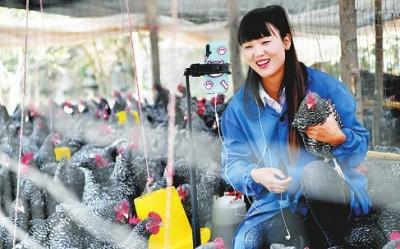 　陕西商洛市丹凤县寺坪镇寺坪村的李萌在自家的鸡棚里进行网络直播。新华社发