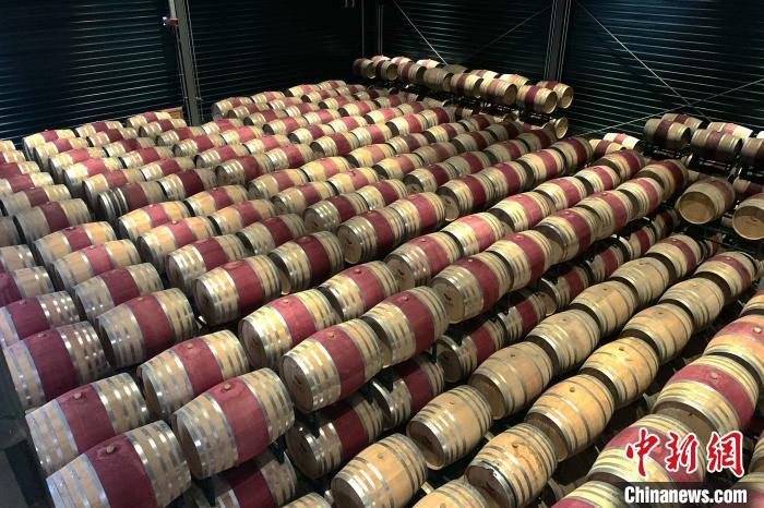 图为西鸽酒庄的橡木桶储藏区。　李佩珊 摄