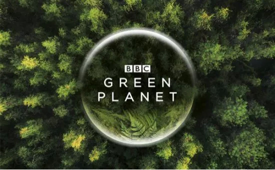 《绿色星球》