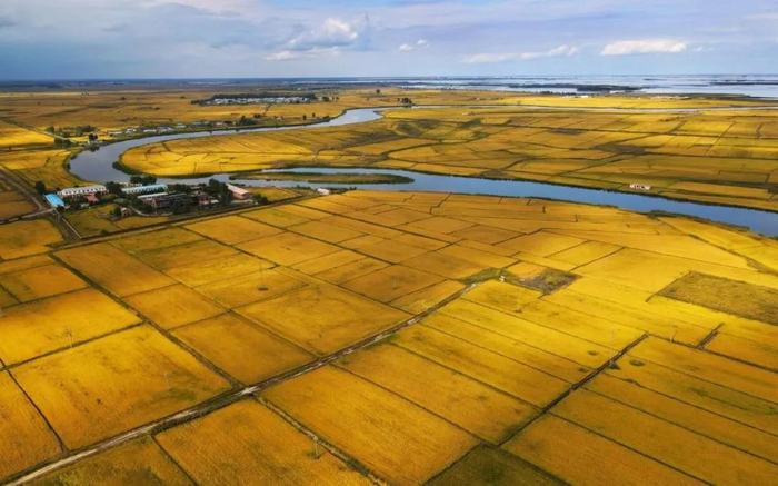  ▲图片来源：新京报网