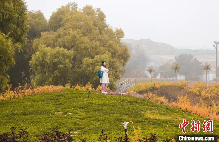 图为白银区荒山荒坡经过治理，景色如画，吸引市民游玩。　包兴鹏 摄