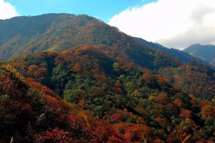 图源黔东南信息港