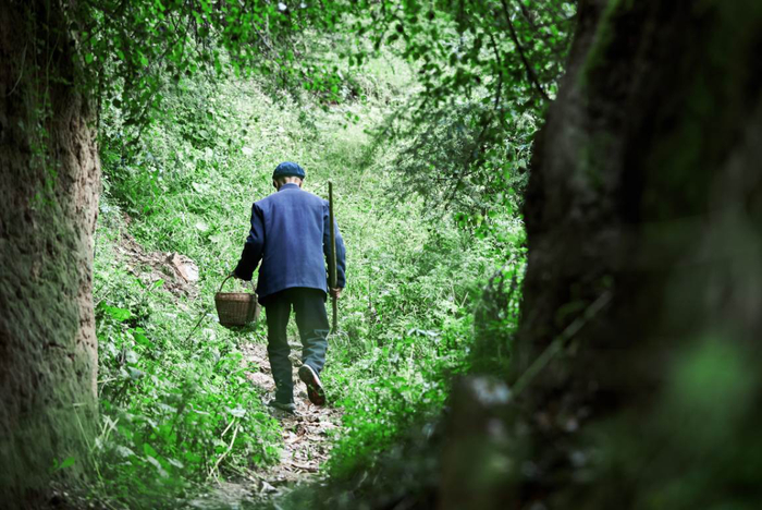 ▲任胜军的爷爷在家里务农