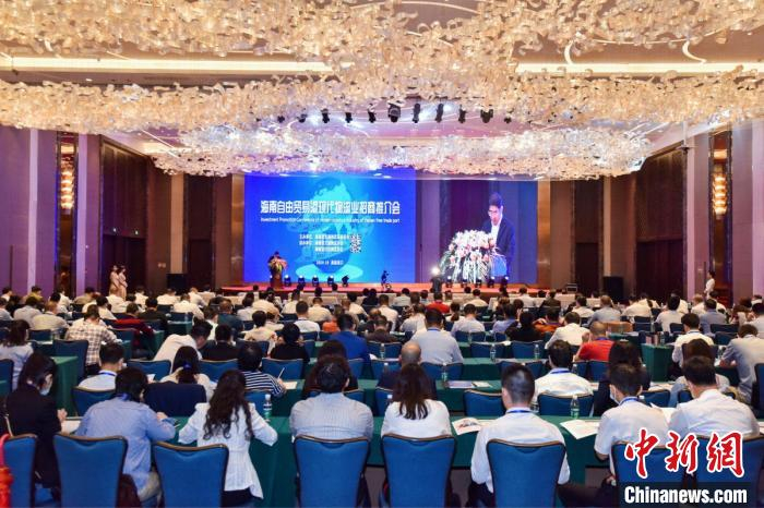     海南举办自贸港现代物流业招商推介会。主办方供图
