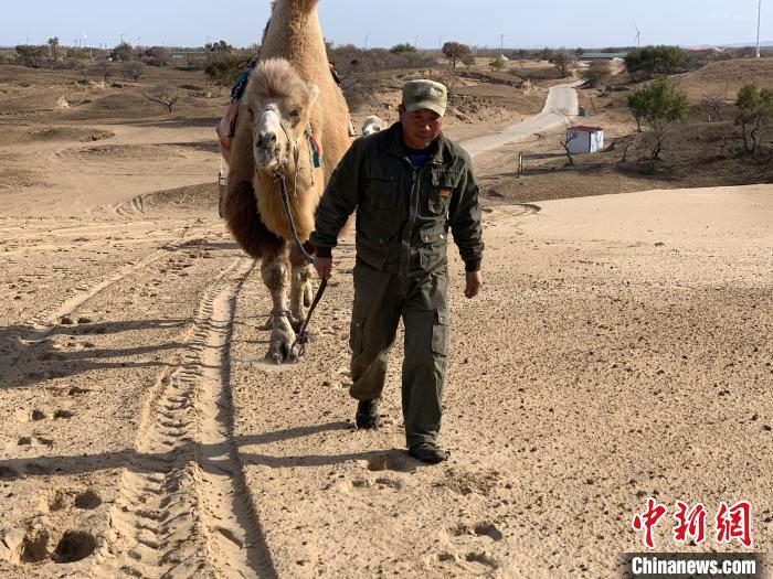 图为常英和他的骆驼。　奥蓝 摄