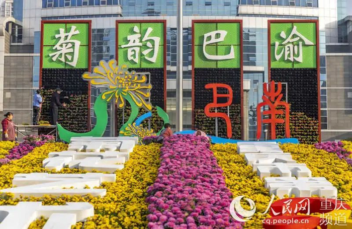 菊花展现场 巴南区融媒体中心供图