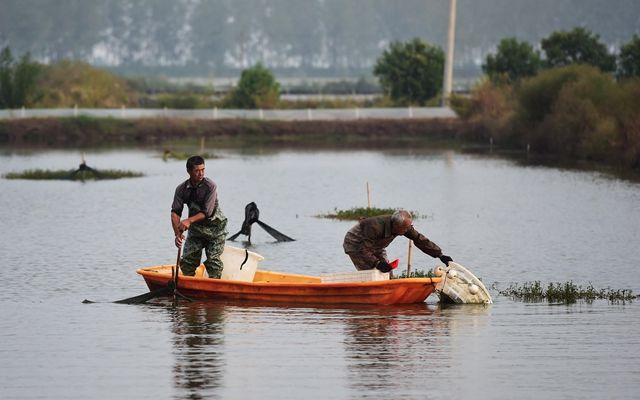▲安徽五河县沱湖乡大岗村螃蟹养殖基地，当地农户在捕捞螃蟹。新华社图