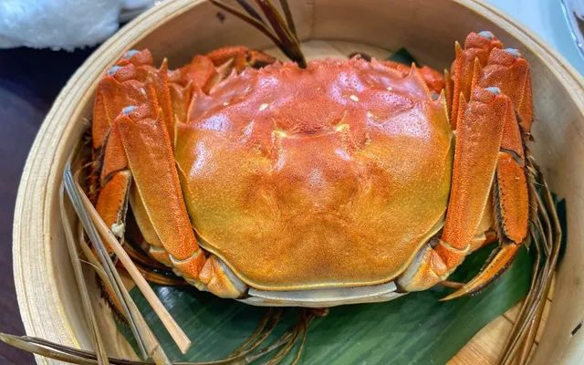 ▲陈屿家9月上市的高等级大闸蟹。