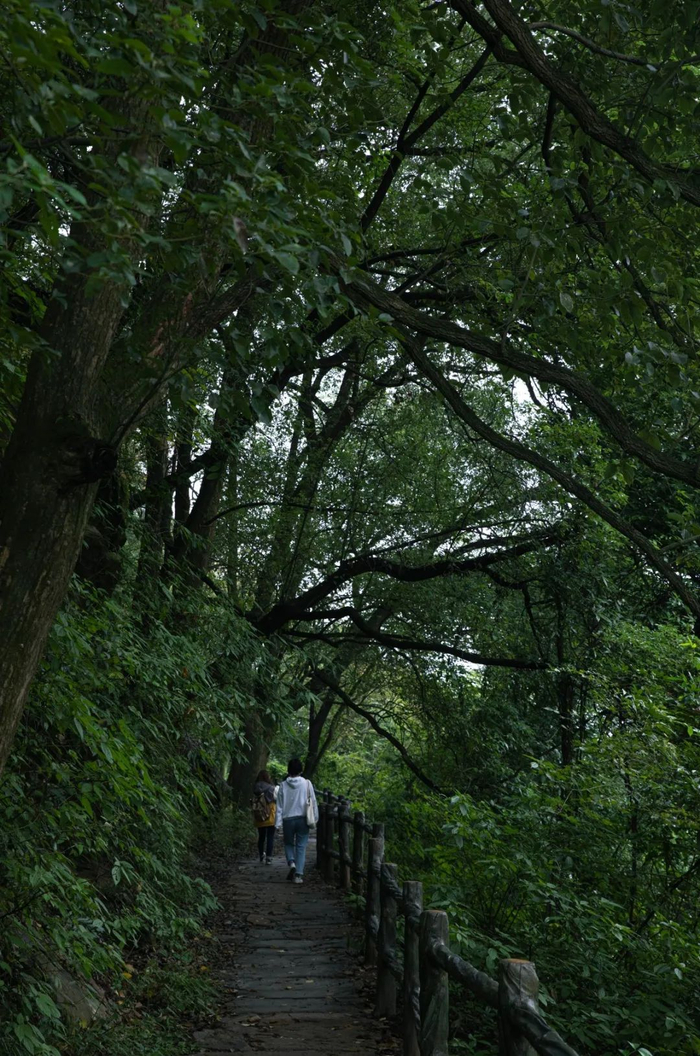 北塘峡江步道张飞古道段。曾英豪 摄