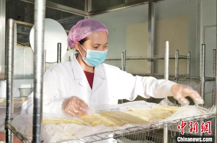     图为传统奶制品工坊工作人员晾晒奶皮子。　西日呼　摄