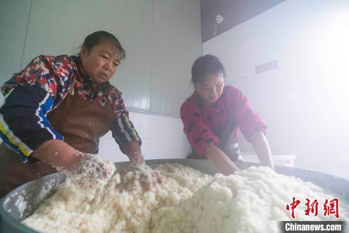 　　图为土城村村民正在酿制黄酒 刘建维 摄