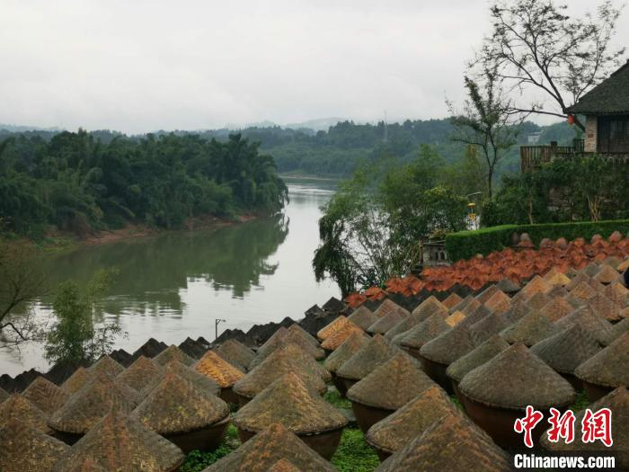 在四川泸州合江县，先市酱油在赤水河边发酵。　单鹏 摄