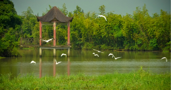 图说：公园内复古凉亭供游人休憩，湖面碧波悠悠，飞鸟翔集。漕泾镇供图（下同）