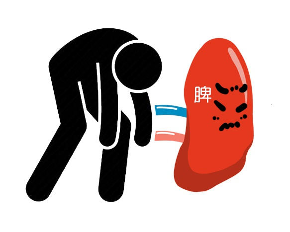 脾脏虚弱的人,身体会有这五个特征出现,快来自查一下!