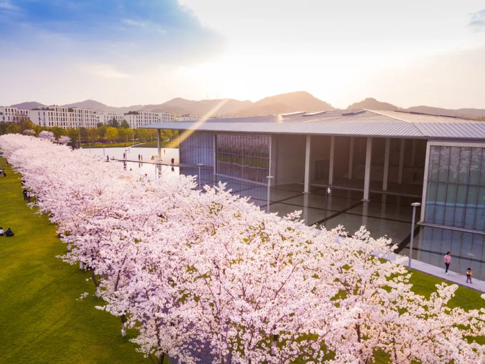 ▲良渚文化村实景：文化艺术中心（「大屋顶」），安藤忠雄建筑作品；一路之隔的白房子，为英国建筑师戴维·奇普菲尔德建筑作品