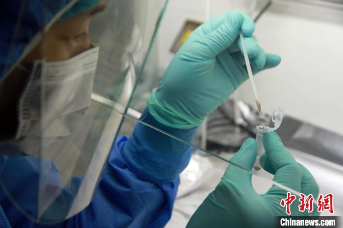 科研团队开展研究工作。科研团队 供图