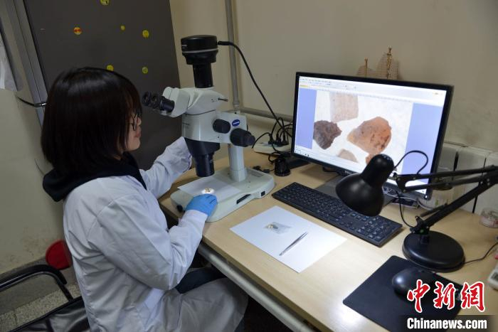 科研团队开展研究工作。科研团队 供图