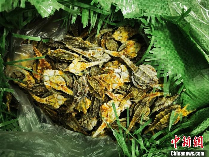 图为被扣的涉案海燕干 林浩 摄