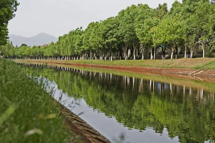 采莲河河道采用再生水补水 都市时报资料图