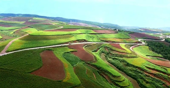 东川红土地 都市时报资料图