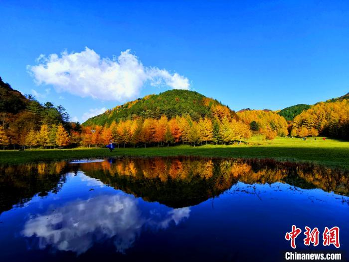 金秋的曾家山鸳鸯池森林公园风景如画。苗志勇 摄 苗志勇 摄