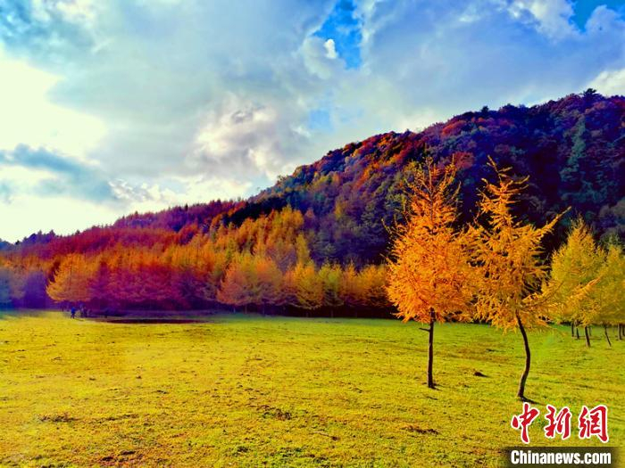 金秋的曾家山鸳鸯池森林公园如天然画廊充满诗情画意。苗志勇 摄