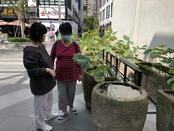 图说：两名聋哑游客在园区里观赏荷花。